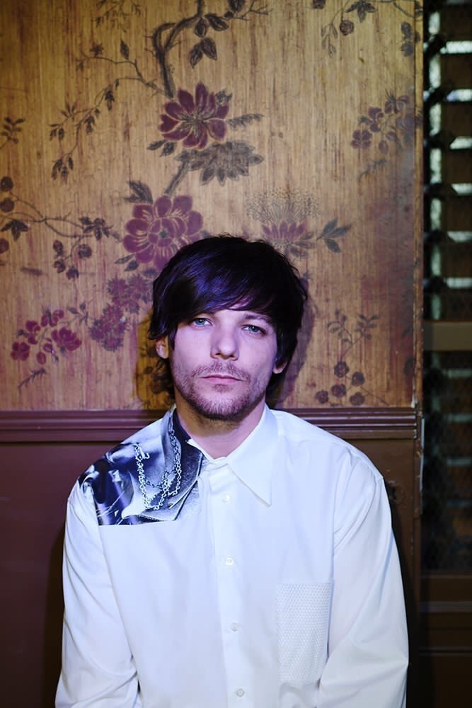 General photo of Louis Tomlinson