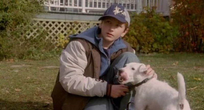 Matthew Harbour in Daniel and the Superdogs