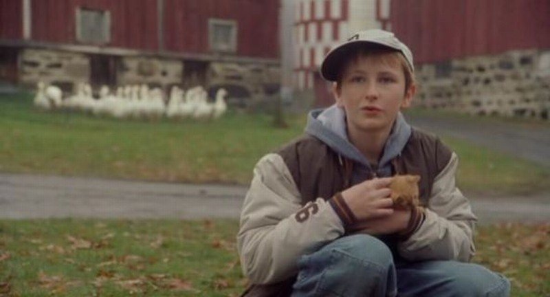 Matthew Harbour in Daniel and the Superdogs