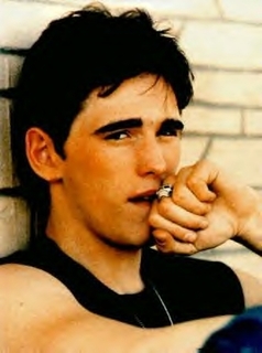 Matt Dillon in The Outsiders