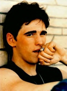 Matt Dillon in The Outsiders