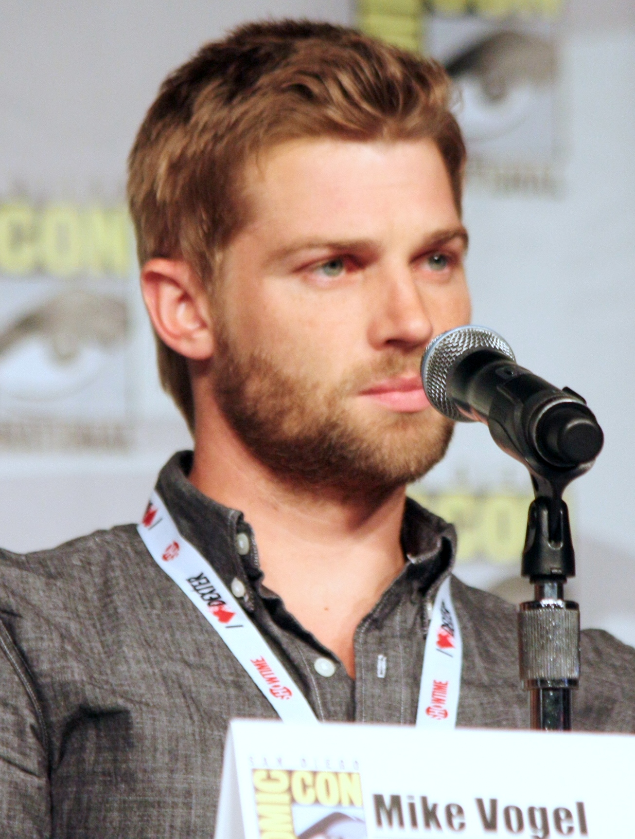 General photo of Mike Vogel