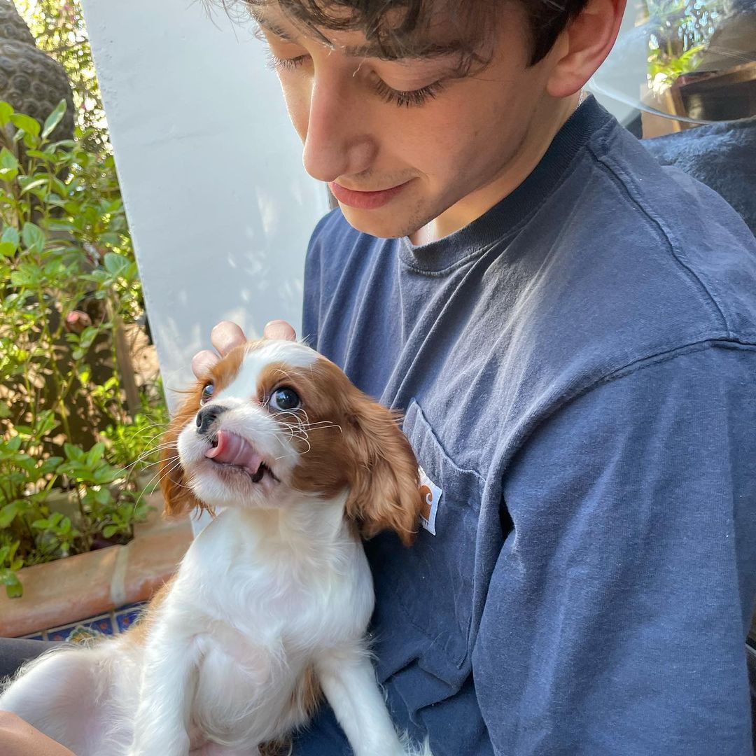 General photo of Milo Manheim