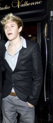 General photo of Niall Horan