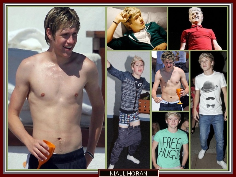 Niall Horan in Fan Creations