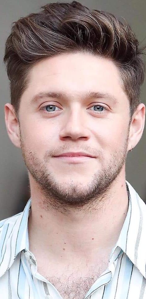 General photo of Niall Horan