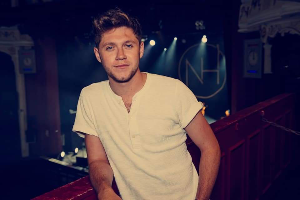 General photo of Niall Horan