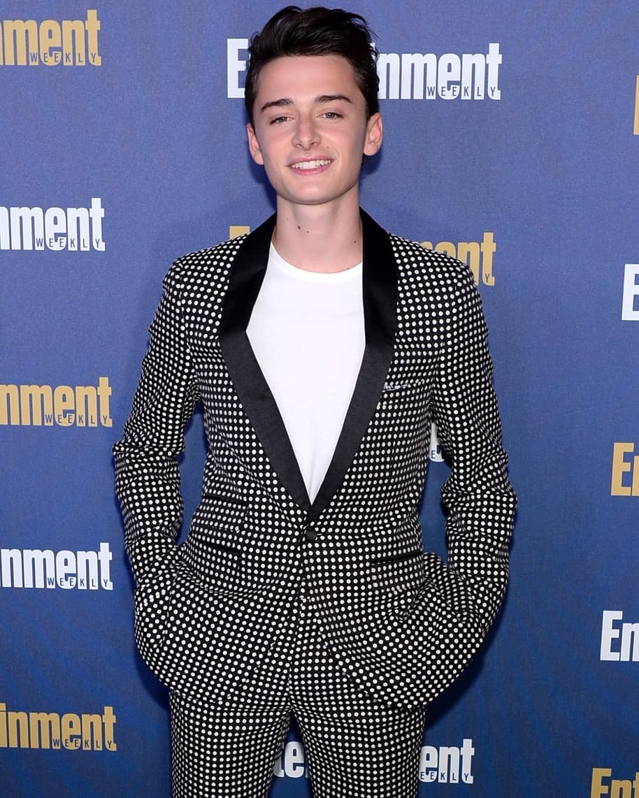 General photo of Noah Schnapp