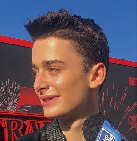 General photo of Noah Schnapp