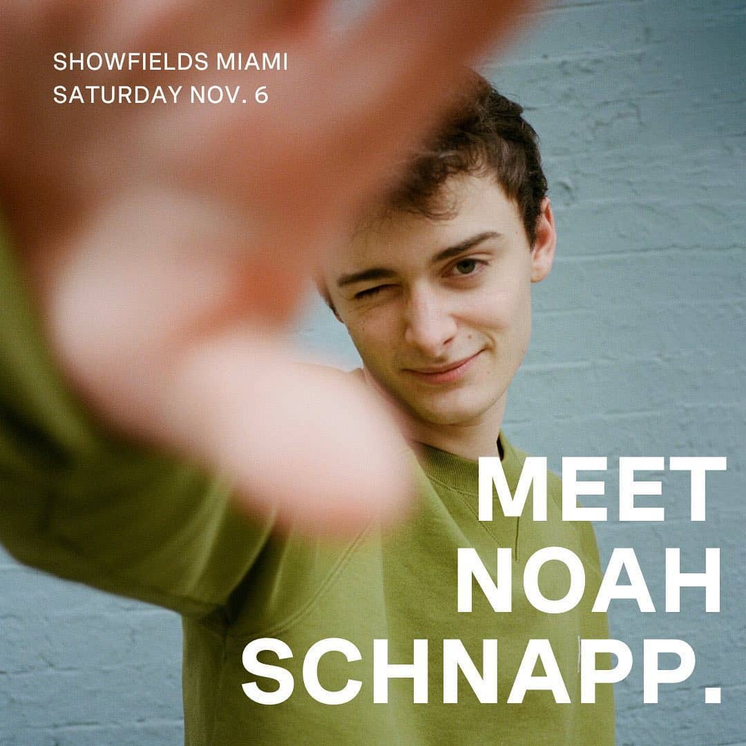General photo of Noah Schnapp