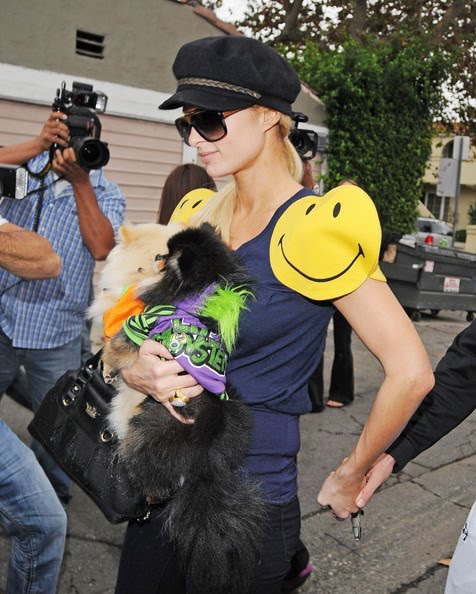 General photo of Paris Hilton