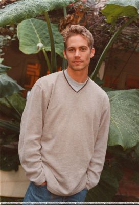 General photo of Paul Walker