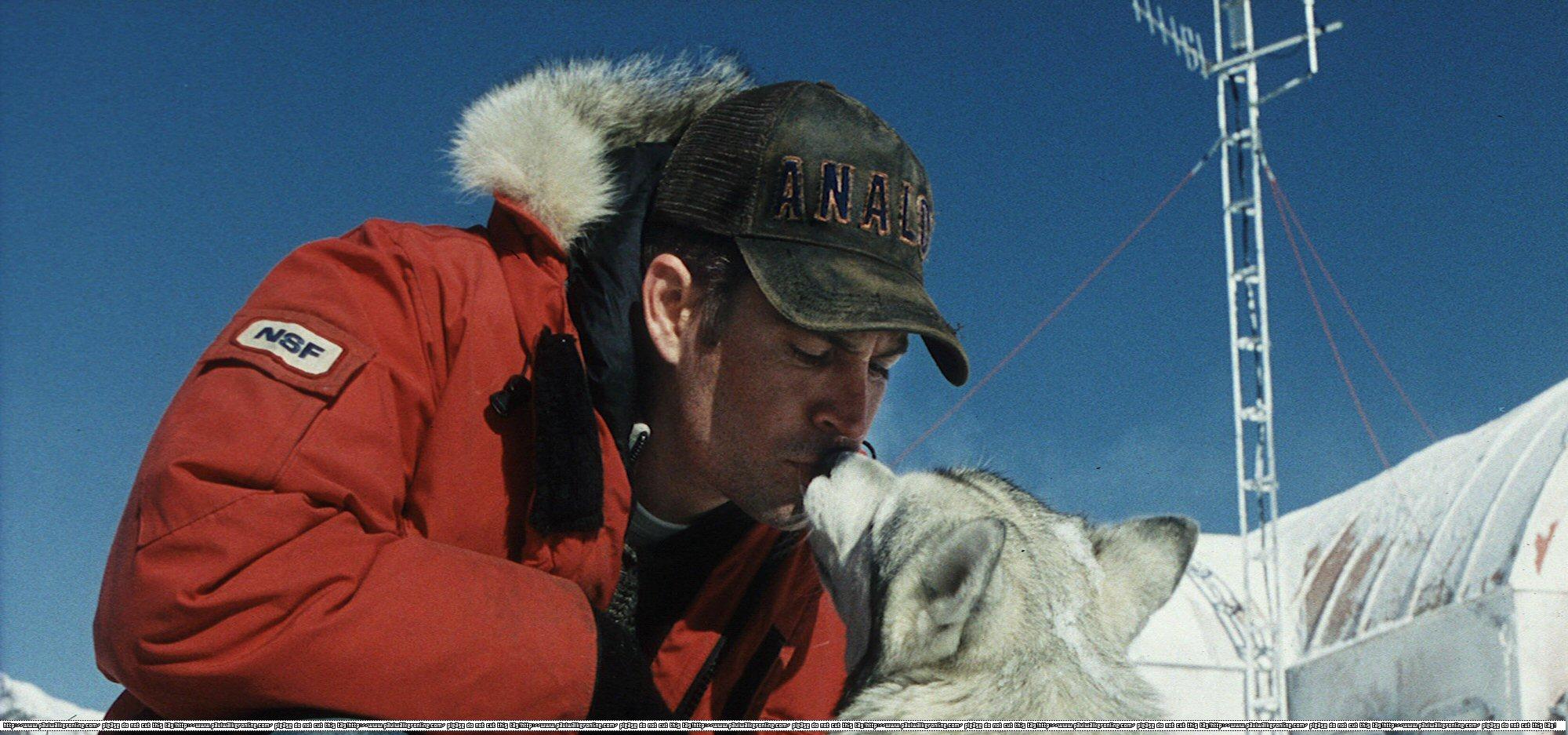 Paul Walker in Eight Below