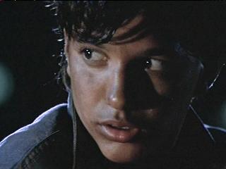 Ralph Macchio in The Outsiders