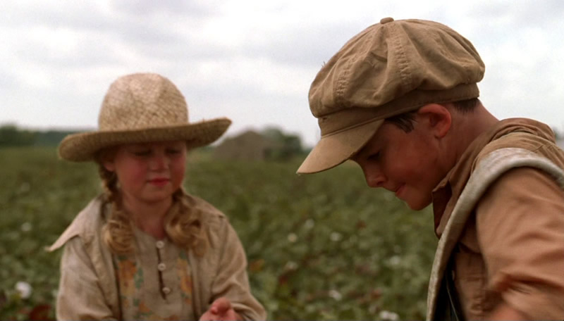 Ridge Canipe in Walk the Line