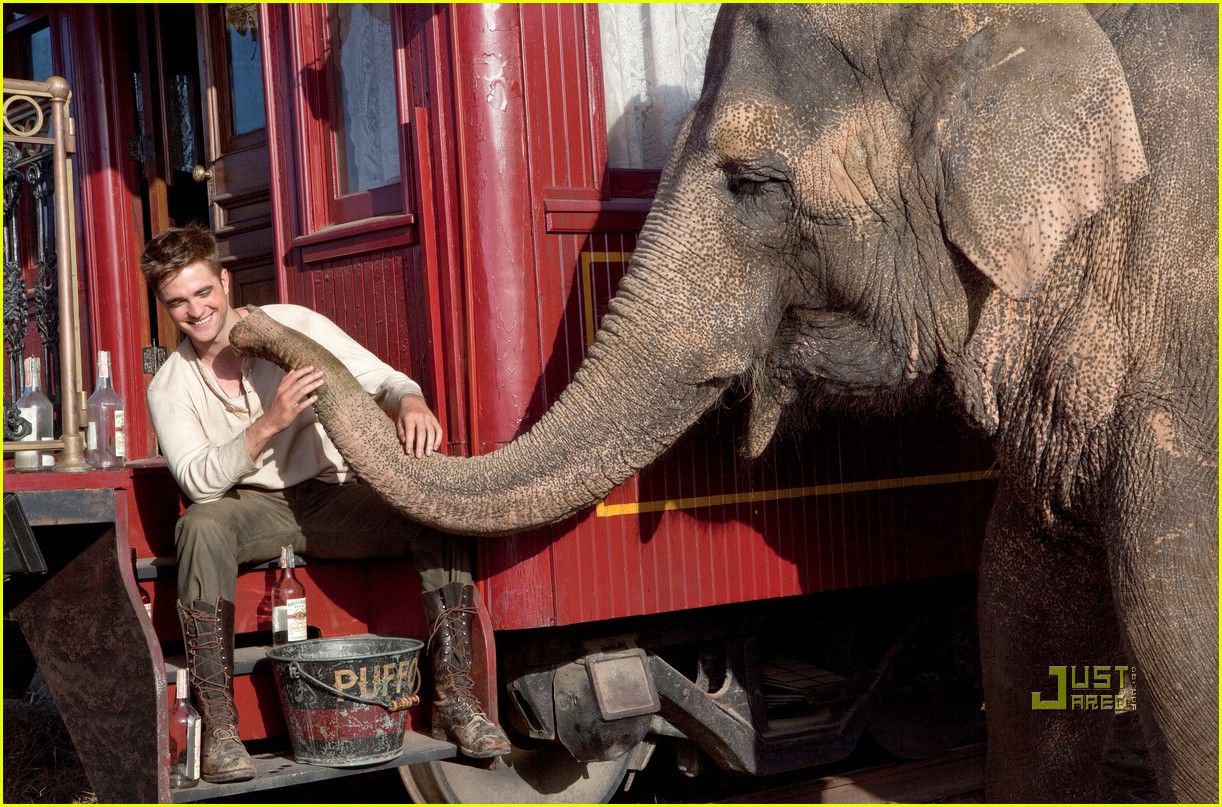 Robert Pattinson in Water for Elephants