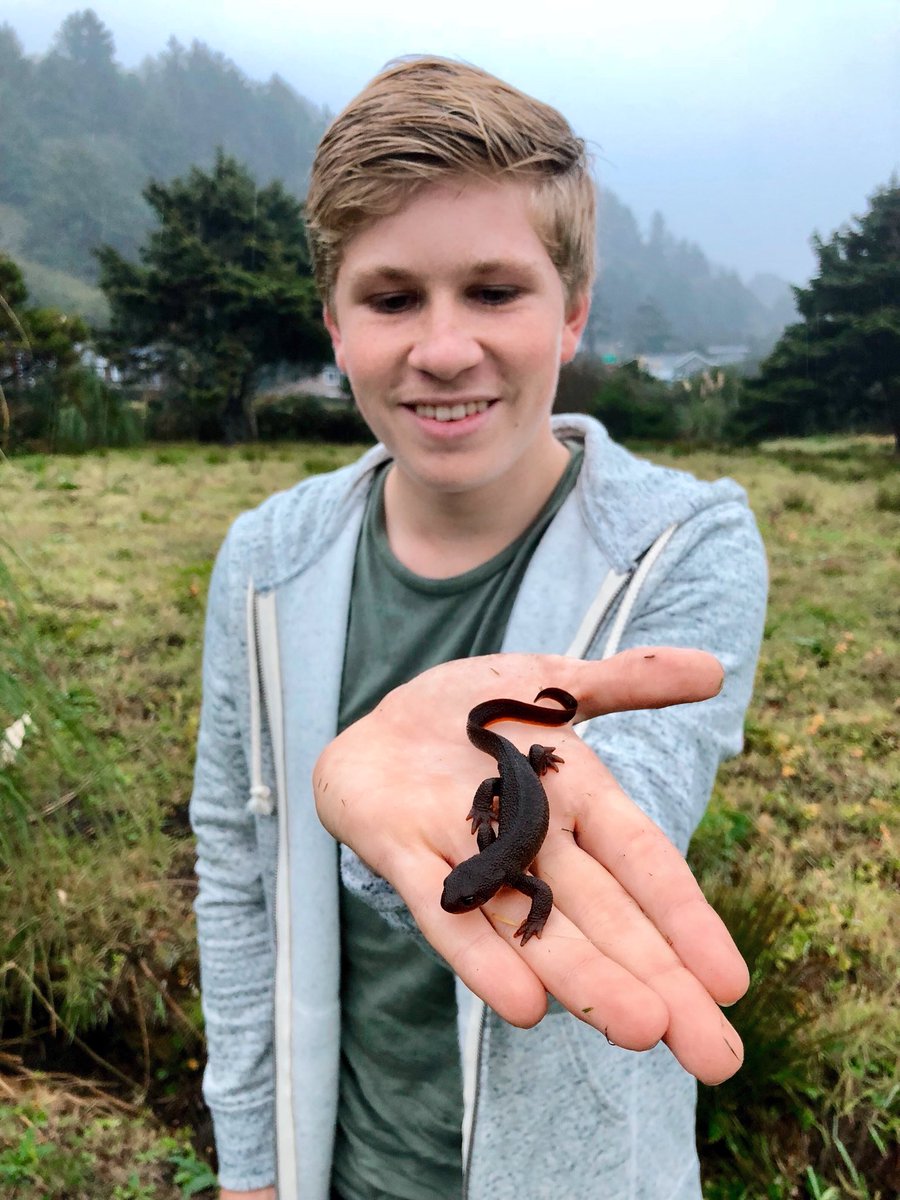 General photo of Robert Irwin