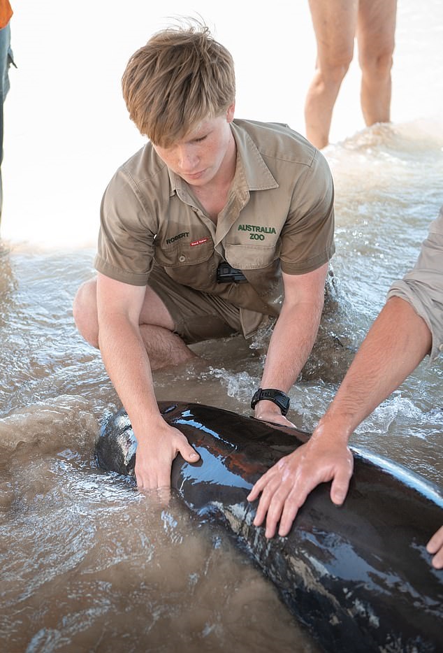 General photo of Robert Irwin