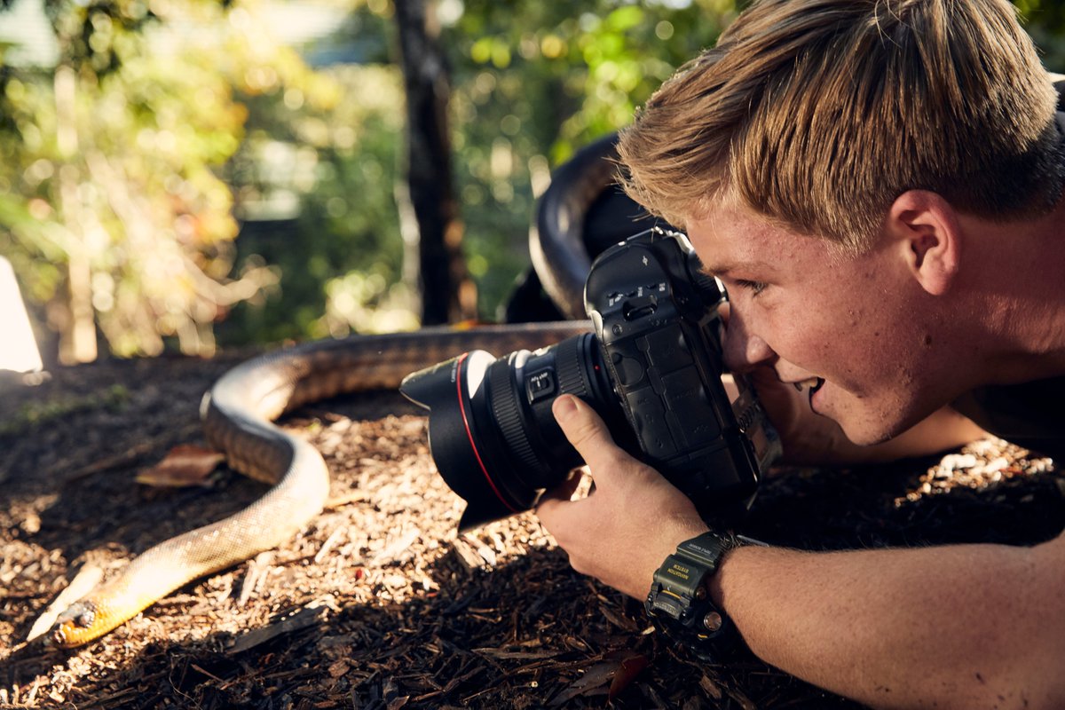 General photo of Robert Irwin