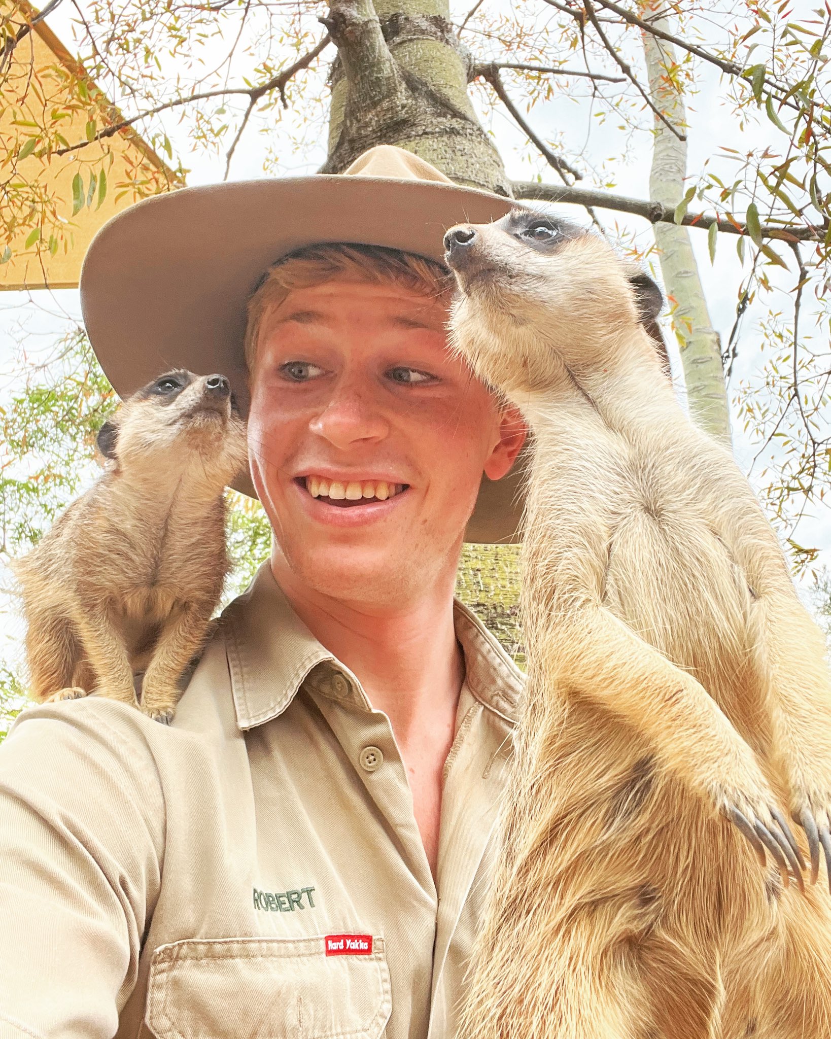 General photo of Robert Irwin