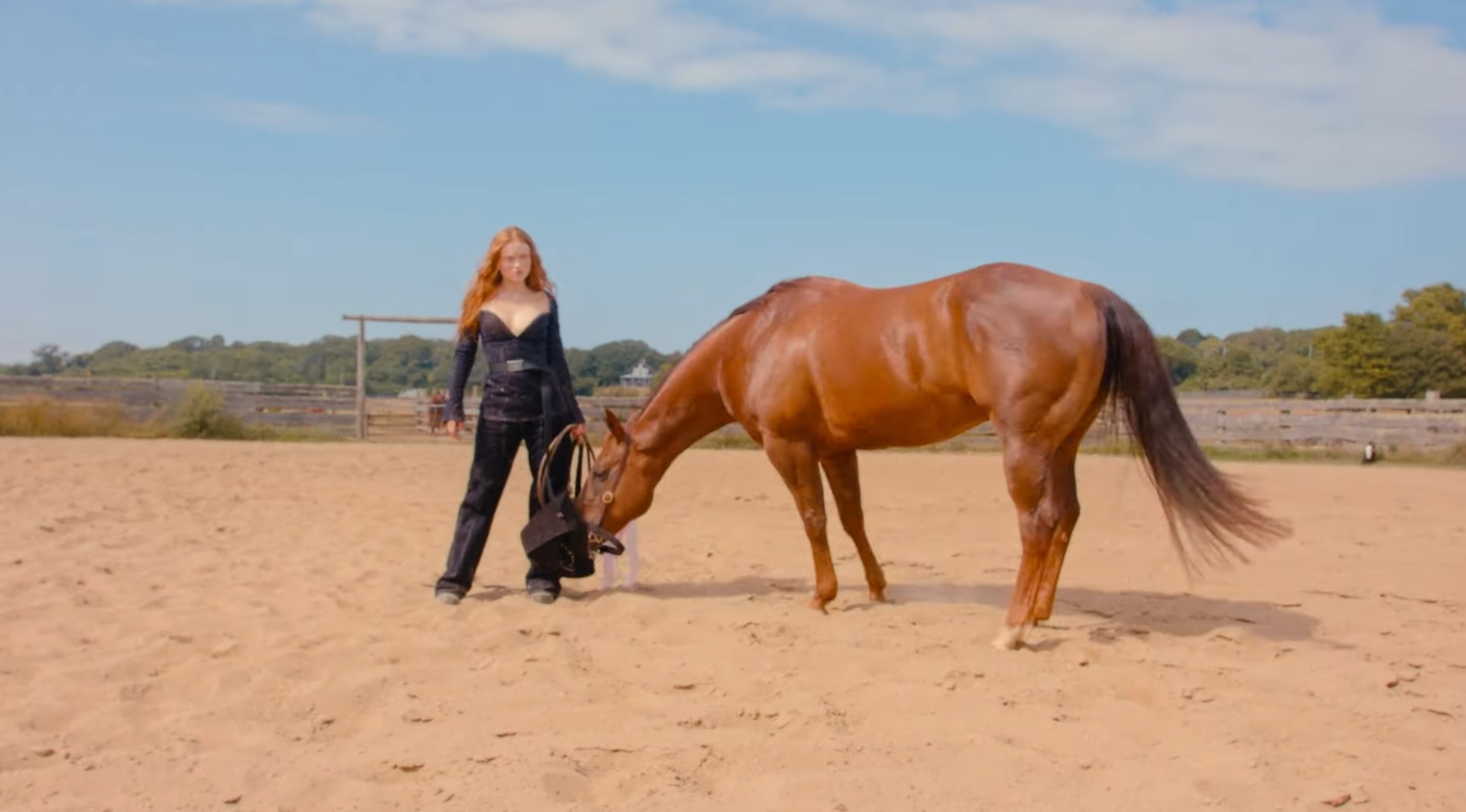 General photo of Sadie Sink