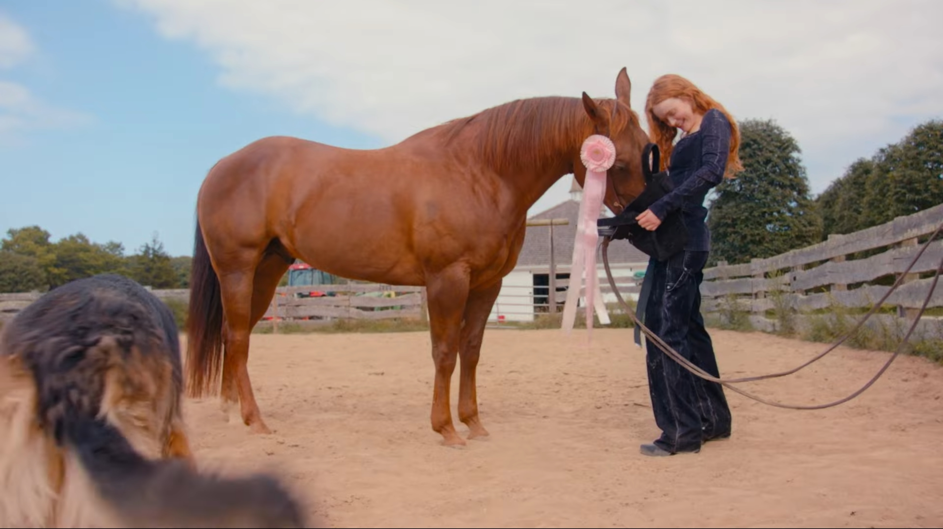 General photo of Sadie Sink