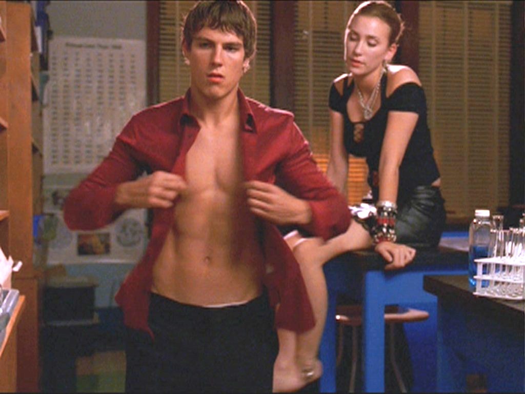 Sean Faris in Life As We Know It