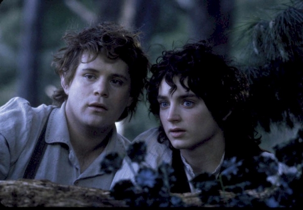 Sean Astin in The Lord of the Rings: The Fellowship of the Ring