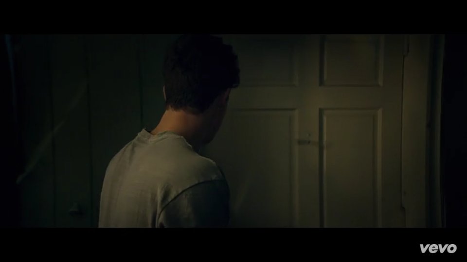 Shawn Mendes in Music Video: Treat You Better