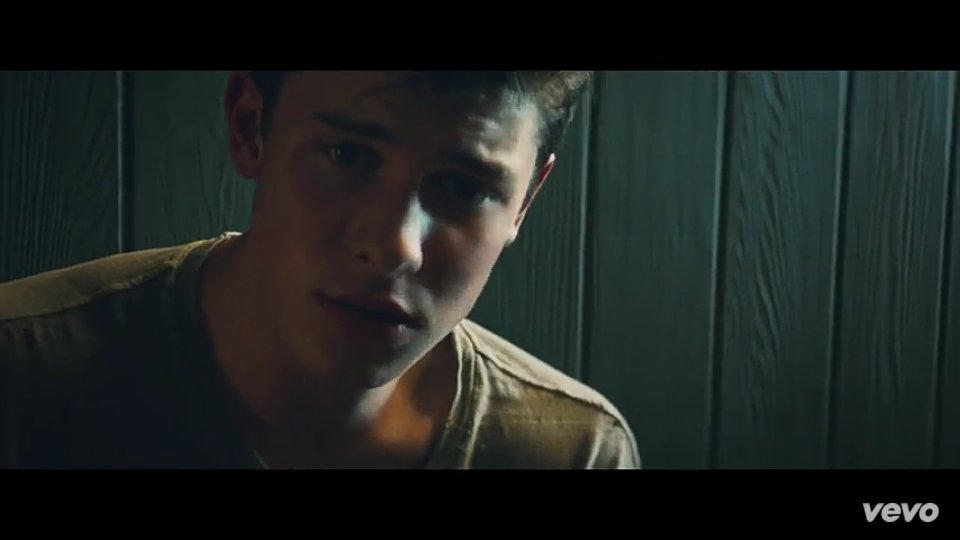 Shawn Mendes in Music Video: Treat You Better