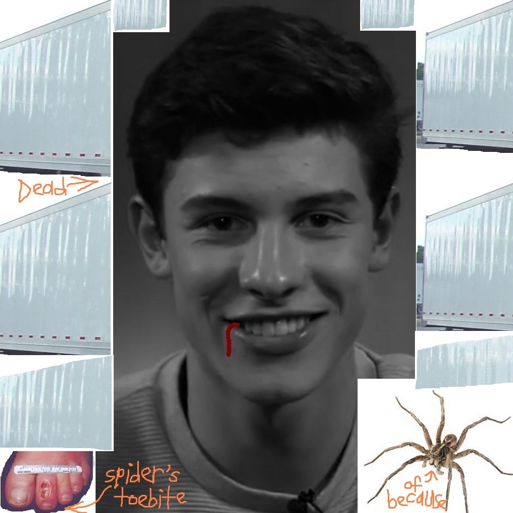 Shawn Mendes in Fan Creations