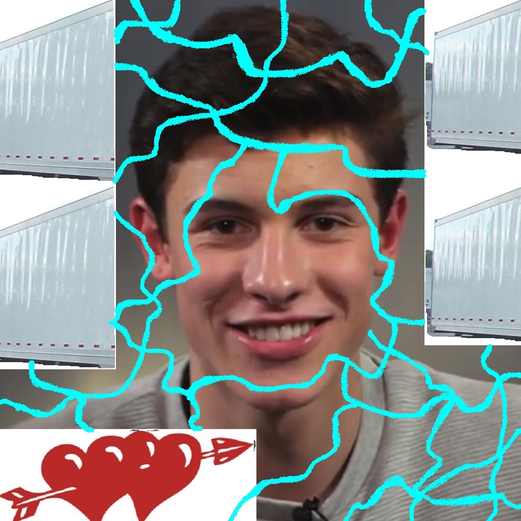 Shawn Mendes in Fan Creations