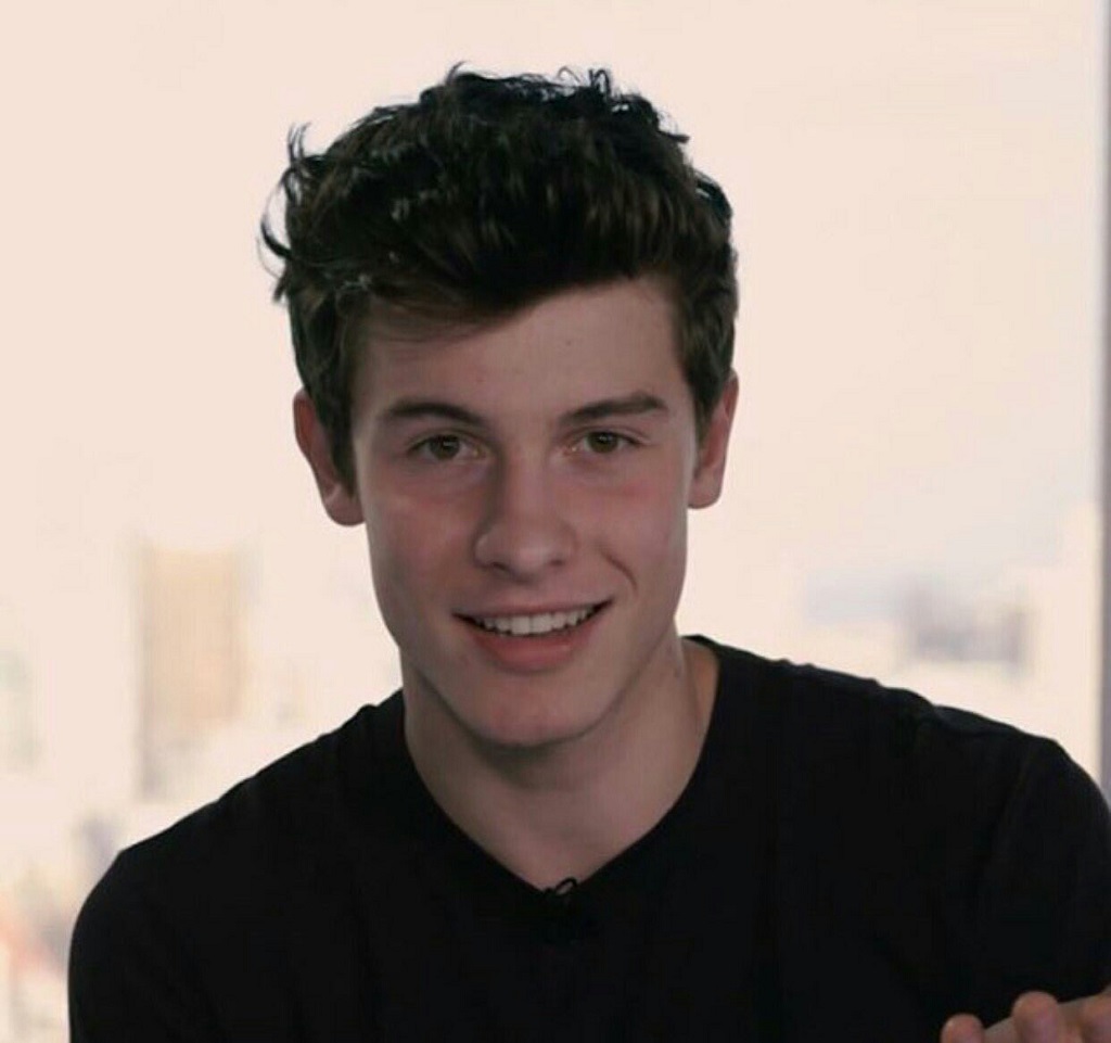 General photo of Shawn Mendes