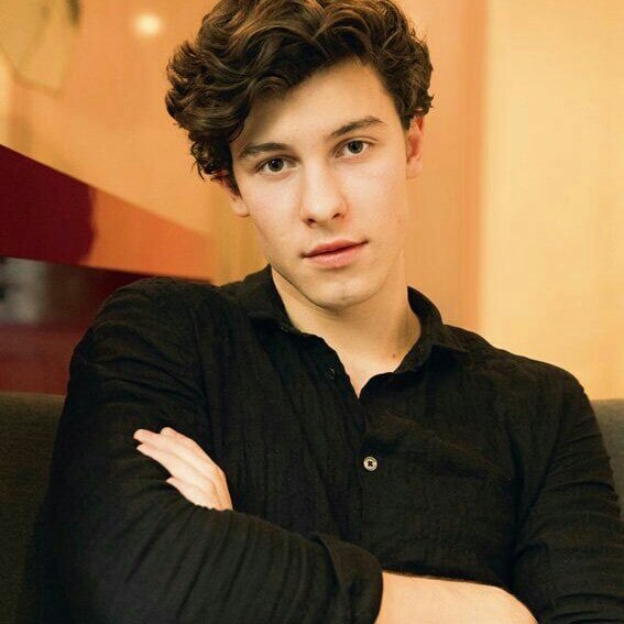 General photo of Shawn Mendes
