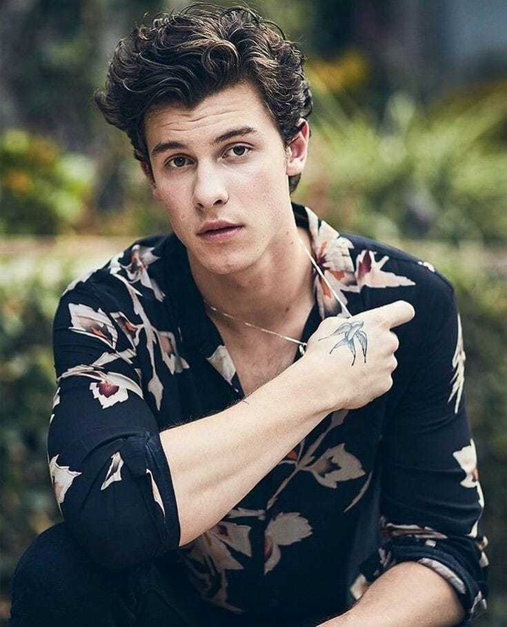 General photo of Shawn Mendes