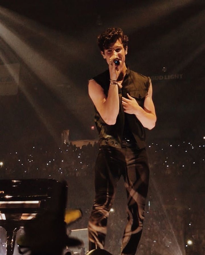 General photo of Shawn Mendes