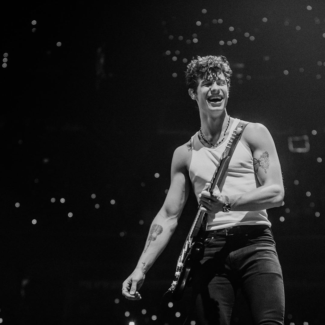 General photo of Shawn Mendes