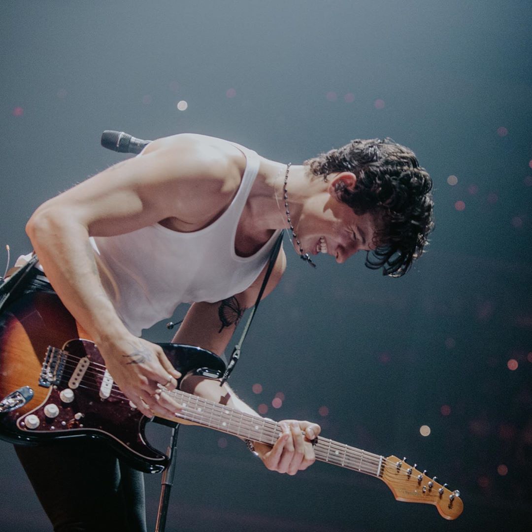 General photo of Shawn Mendes