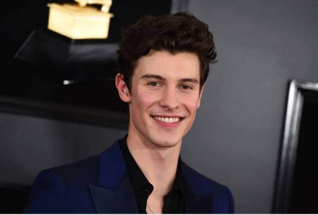 General photo of Shawn Mendes