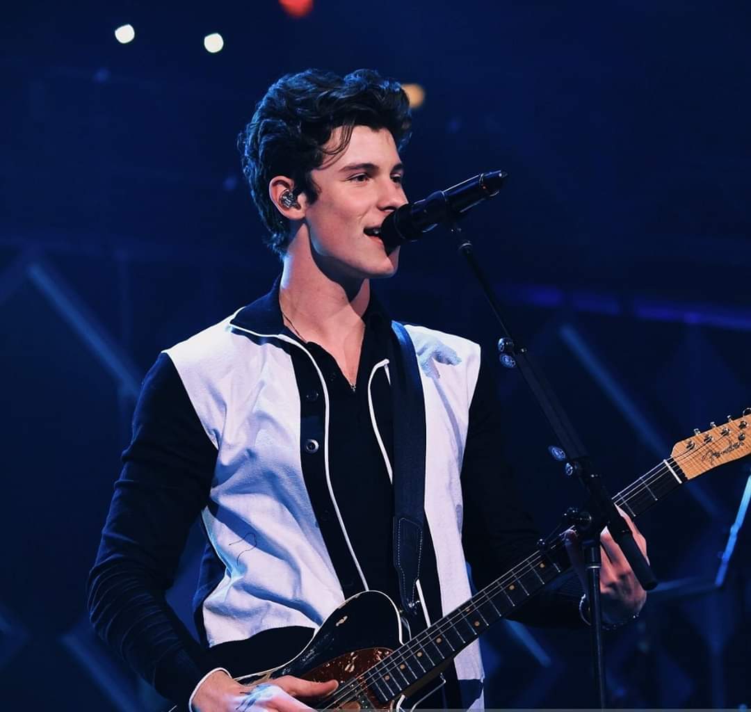 General photo of Shawn Mendes