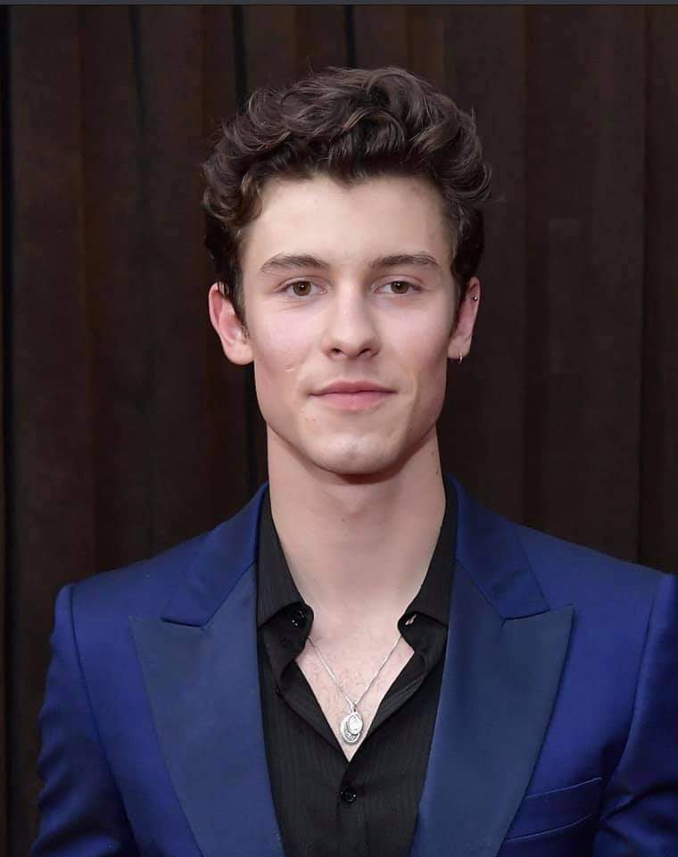 General photo of Shawn Mendes