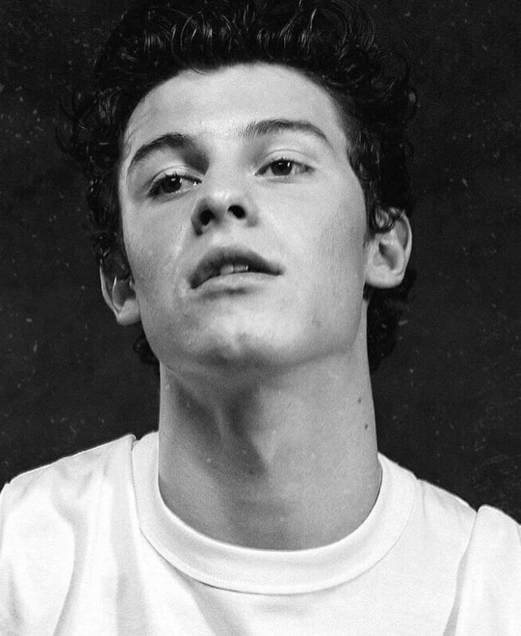 General photo of Shawn Mendes