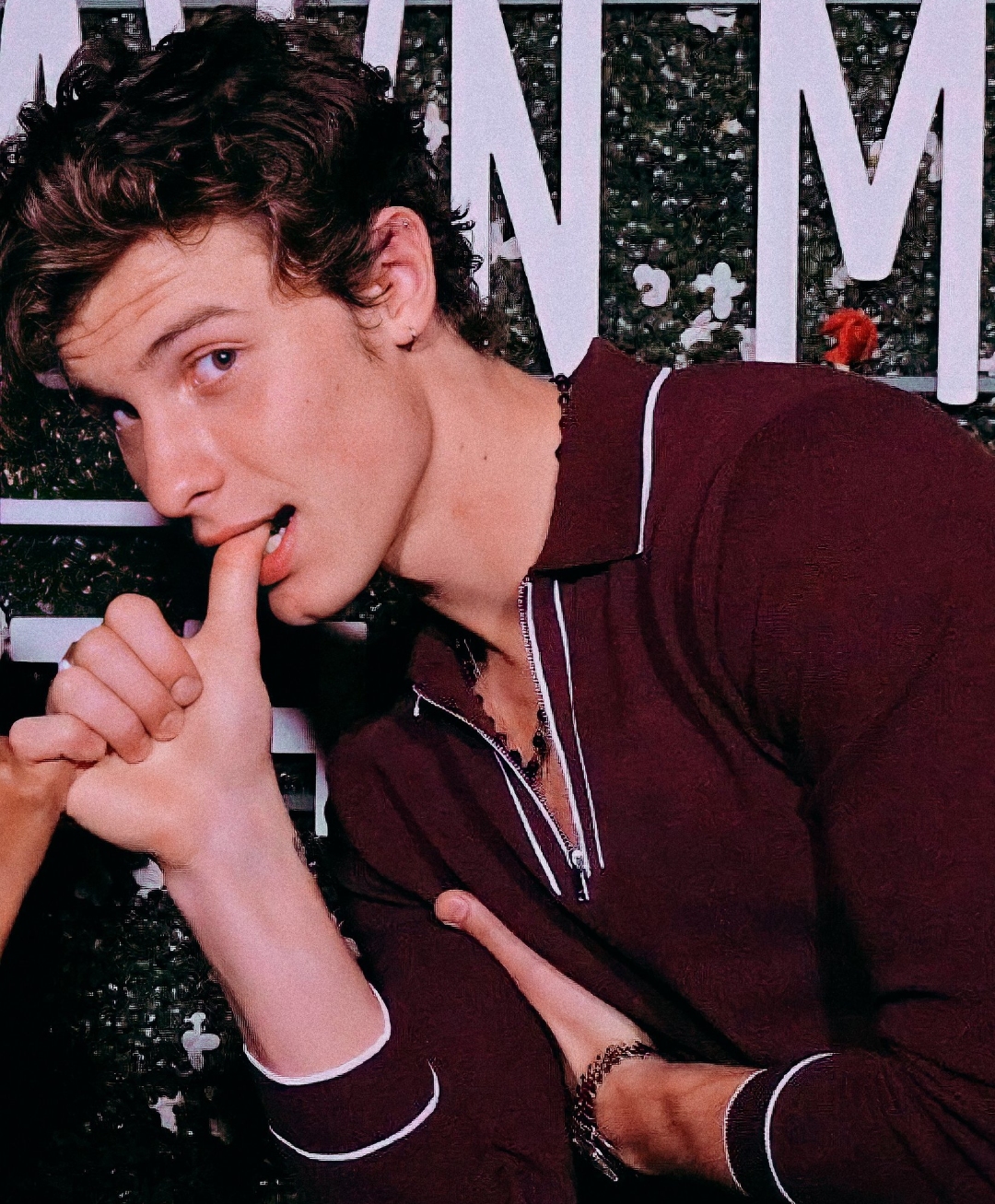 General photo of Shawn Mendes