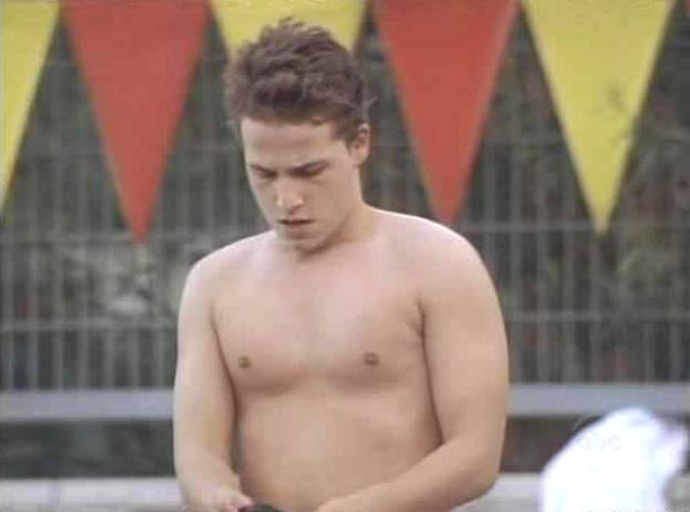 Shawn Pyfrom in Desperate Housewives