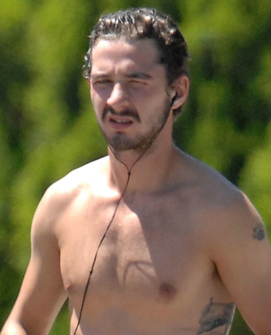 General photo of Shia LaBeouf