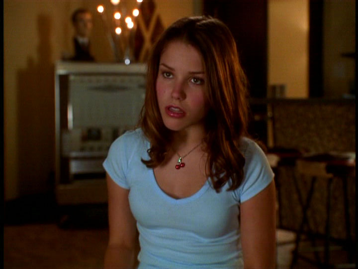 Sophia Bush in Van Wilder