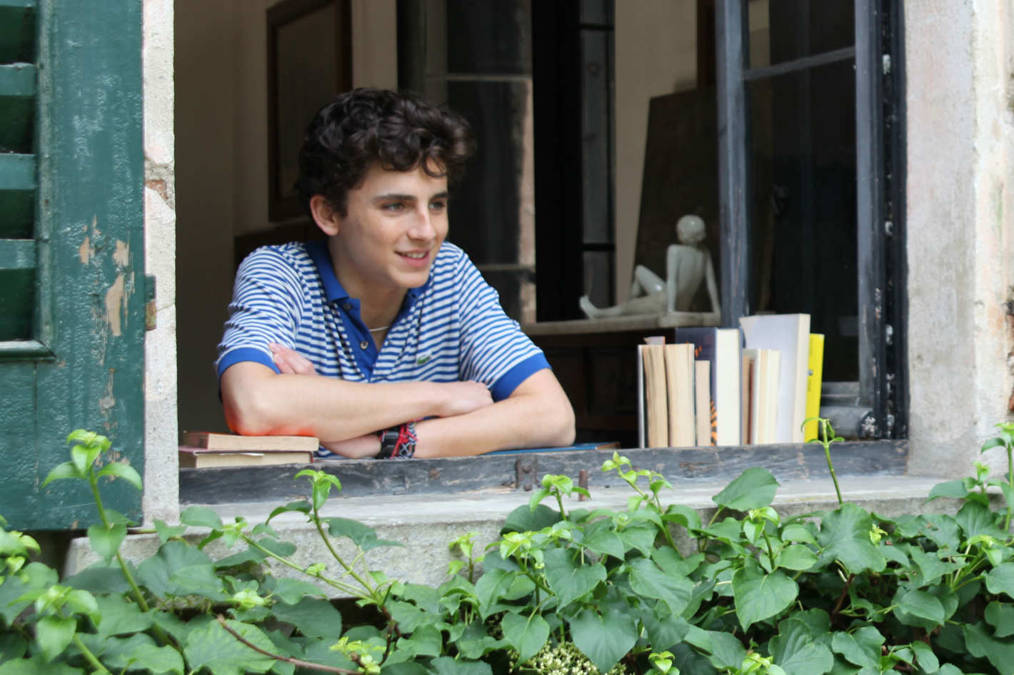 Timothee Chalamet in Call Me By Your Name