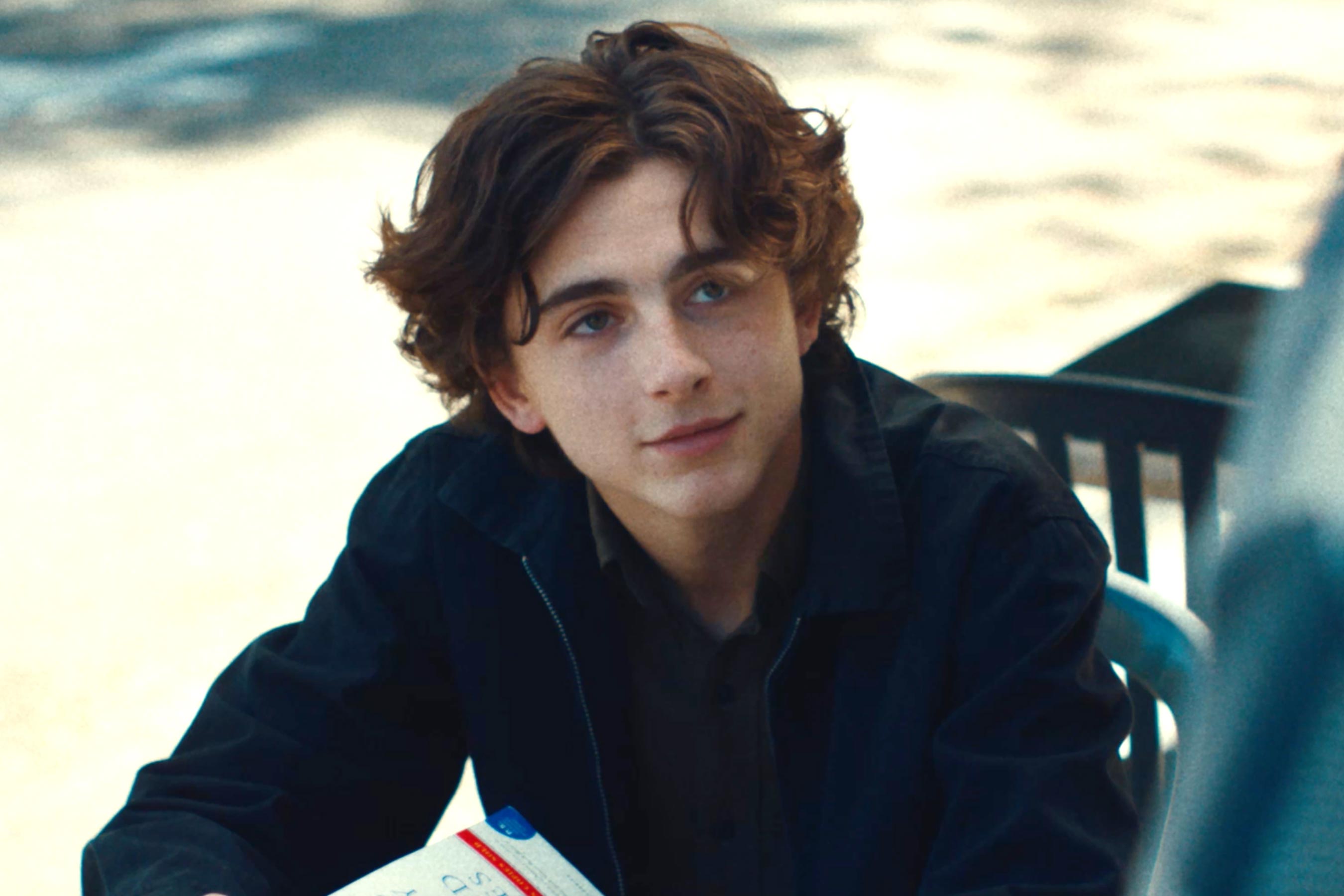 Timothee Chalamet in Lady Bird