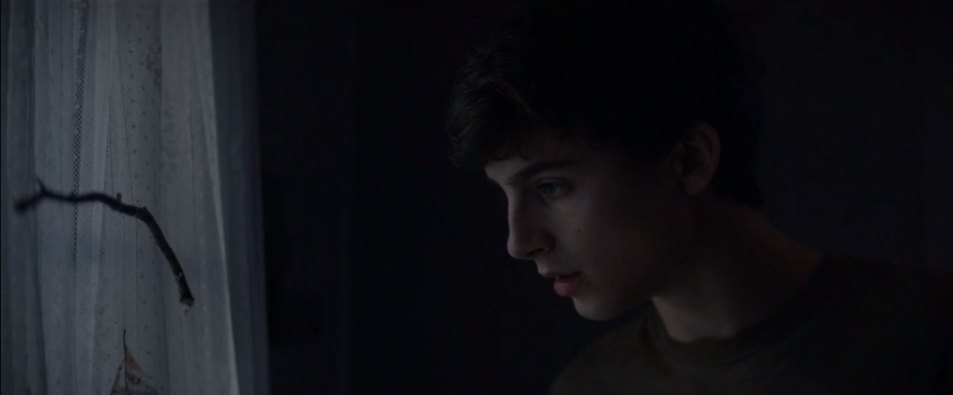 Timothee Chalamet in One and Two