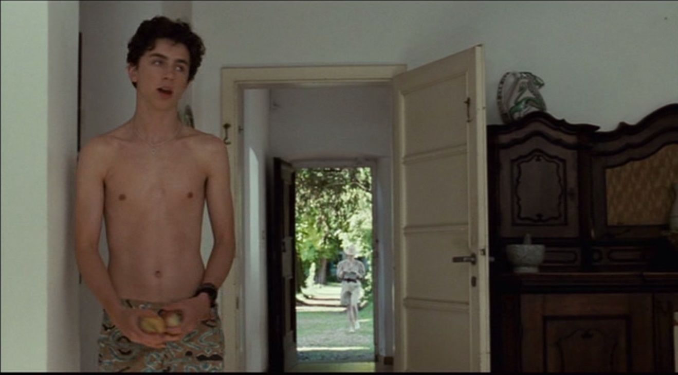 Timothee Chalamet in Call Me By Your Name